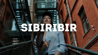 Shewandagn Hailu - Sibirbir | ሸዋንዳኝ ኃይሉ - ስብርብር (Dj Hunter)