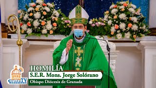 Homilia Domindo de la Palabra de Dios