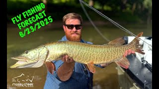 Mossy Creek Fly Fishing Forecast 6/23/2025