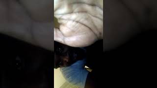 I don't own the rights to this music. Getting it in