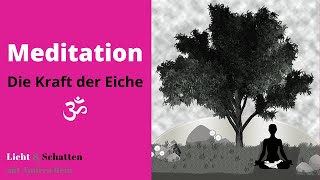 Meditation: The Power of the Oak