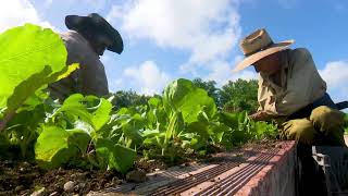 Lawmakers debate the draft bill on Land Ownership, Possession and Use