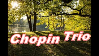 Chopin Trio g-moll op. 8. Classic music.