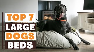 Find the Perfect Fit: 7 Best Dog Beds for Large Dogs