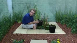 How to Build a Small Garden Pond