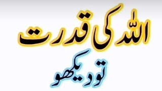 RAJA ADEEL OFFICIAL is live!