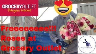 Free Roses and I didn’t have to steal them