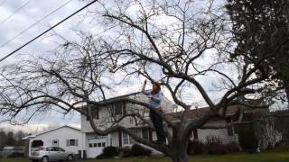 The Solar Christmas Lights Struggle