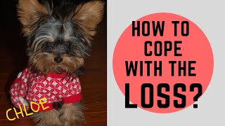 HOW TO COPE WITH LOOSING A PET
