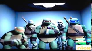 BayTurtlesTMNT