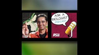 From Cicadas to Centrifuges - The Frugal Science Revolution