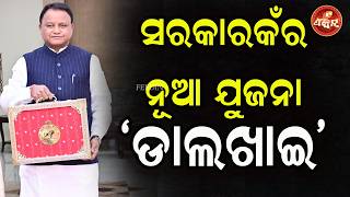 Government's new scheme 'Dalkhai' || OTV FEEDIN