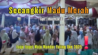 LAGU JOGET PALING ASIK ❗️MADU MERAH 