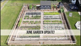 Full June Garden Tour (& Planting Our Buckwheat Meadow!)
