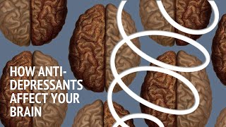 How antidepressants affect your brain
