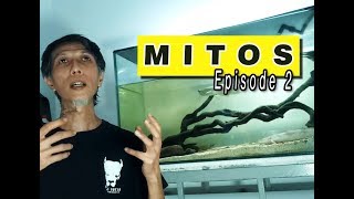 PERLU ATAU TIDAK IKAN DI PUASAKAN - Eps 2