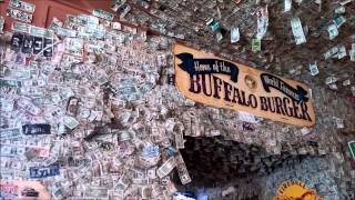 $100,000 Dollar Bills Stapled to the Walls! - Oatman Hotel Bar