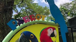 2020 10 Visit bird park Jurong