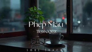 Phép Màu, Trái Đất Ôm Mặt Trời, Ngày Mai Em Đi, Hẹn Một Mai - Top Hits Nhẹ Nhàng Cực Chill [COVER]
