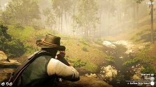 Red Dead Redemption 2 - Hunting in Ringneck Creek PS5 Pro
