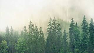 Heavy Rain Scenes