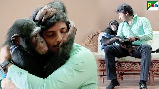 मासूम बंदर ने बचानेवाले जीवा को ही अपनी छोटी माँ समज लिया | Jiiva, Shalini P, Yogi B | Gorilla Gang