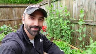 Full Garden Tour! #1