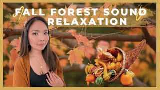 FALL FOREST 🍂 SOUND RELAXATION | 1 Hr White Noise For Stress Relaxation & Focus | Marchmalloworld