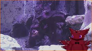 VOD: Holy Relic - Levels and gear upgrades • !discord • !playlist