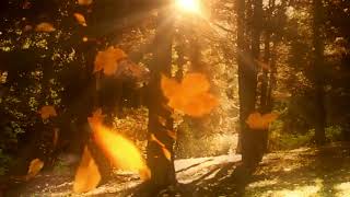 7 Minutes Calming & Peaceful Music, Relaxing Music,  Stress Relief