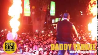DADDY YANKEE - PERU