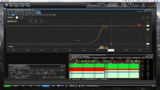 Short Selling Stock - IDXG