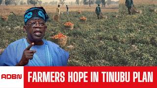 Chief Abiola On Nigeria’s Farming Future: Farmers’ Hope In Tinubu’s Agric Initiative