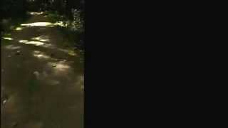 Secor Metropark Trail