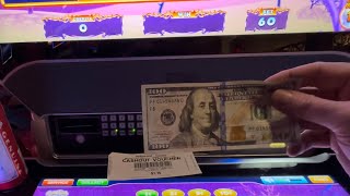 WE PUT $100 INTO GOLDFISH FEEDING TIME SLOT AND WE GOT ALL THE BONUSES !!!