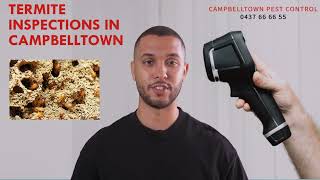 Termite inspection Campbelltown - Expert Termite Inspection in Campbelltown - No more Termites !