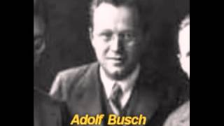 Adolf Busch: Concerto for Violin and Orchestra