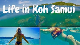 Koh Samui Life | Love Life Mentoring