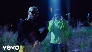 Rauw Alejandro, Chencho Corleone - Desesperados (Official Video)