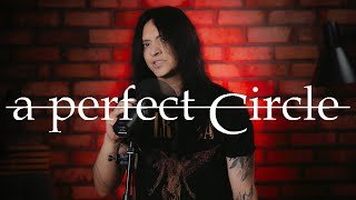 Weak and Powerless (A Perfect Circle)