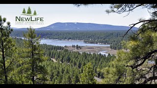 Restoration Forest Products Intro