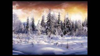 Fantome Magnetic Silence Original Mix (Video Winter Silence)