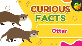 Otter Diet | 10 Cool Otter Facts for Kids | Fun Facts for Young Animal Lovers |  Ocean’s Superheroes