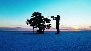 Frozen Pine 2024 full ver.