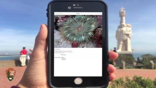 iNaturalist Instructions (English)