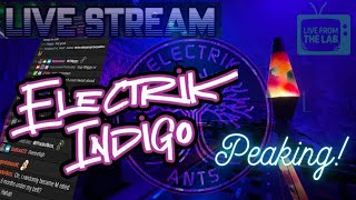 Electrik Indigo Peaking!