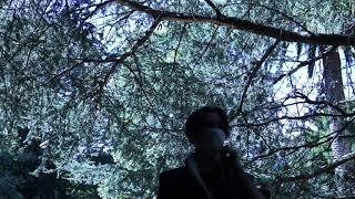 LILRAE2K - SERENITY [Official Visualiser]