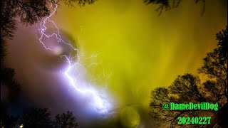Month long 4K Night Time Lapse Feb 2024 #nightsky #startrails #nightlapse #DameDevilDog #asmr #Stars