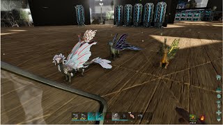 Drakelings Abilities Ark Survival Ascended Ark ASA #ardenius