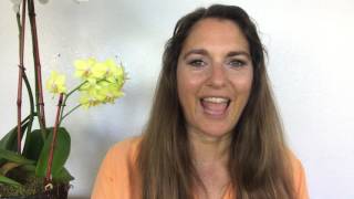 Holiday Stress Escape - Guided Visualization.